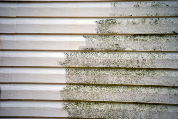 Best Basement Cleanout  in Flora, AL